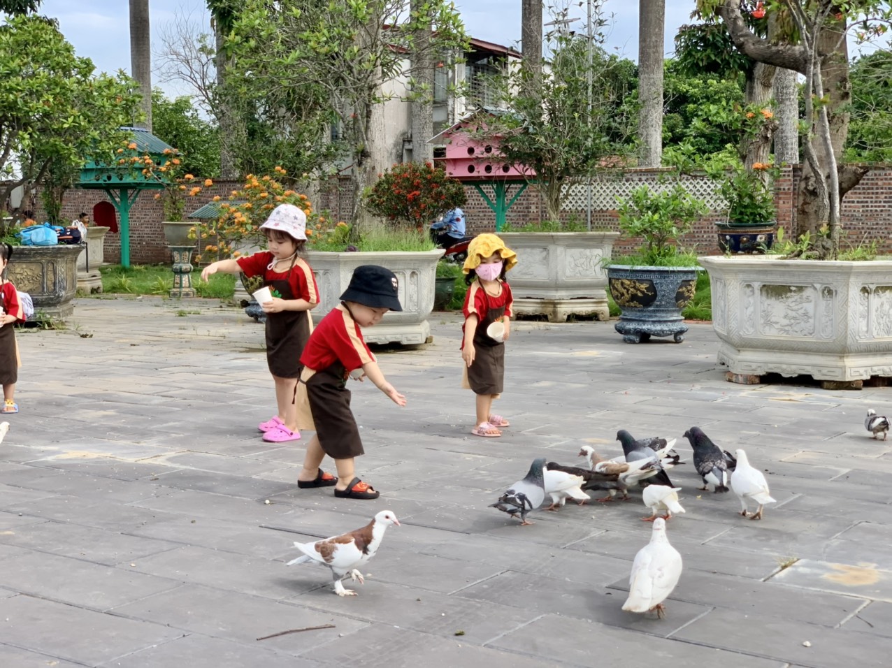 Một buổi trải nghiệm tại Nông trại giáo dục Lam Farm