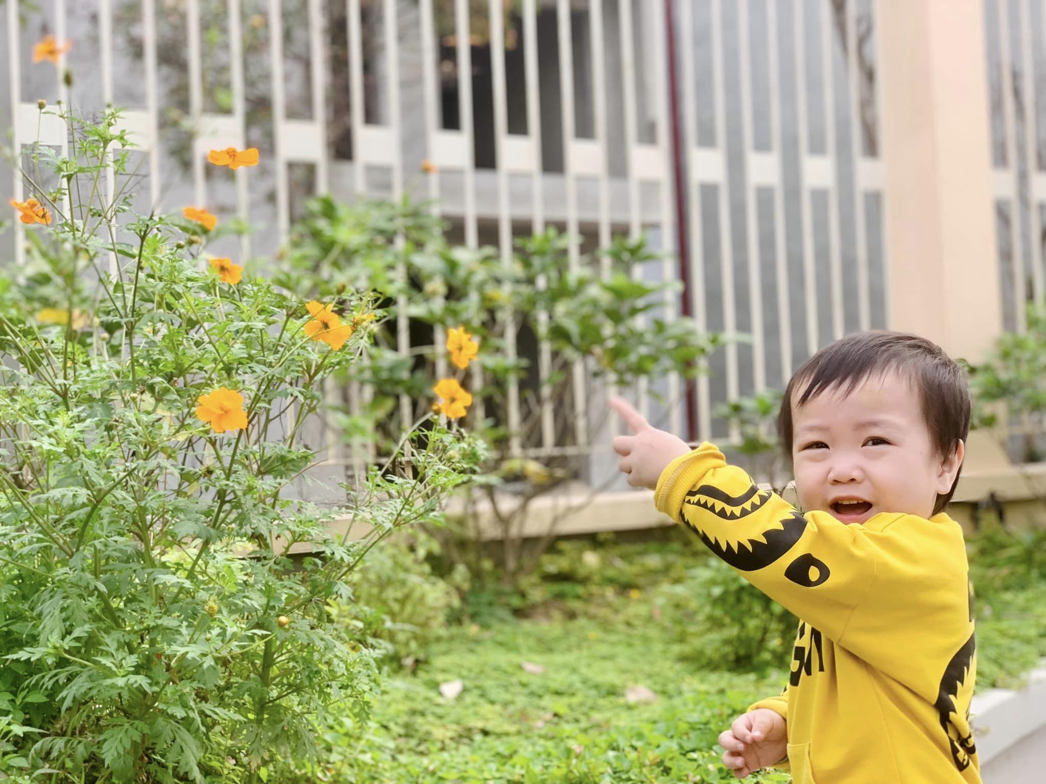 Ra chơi vườn hoa