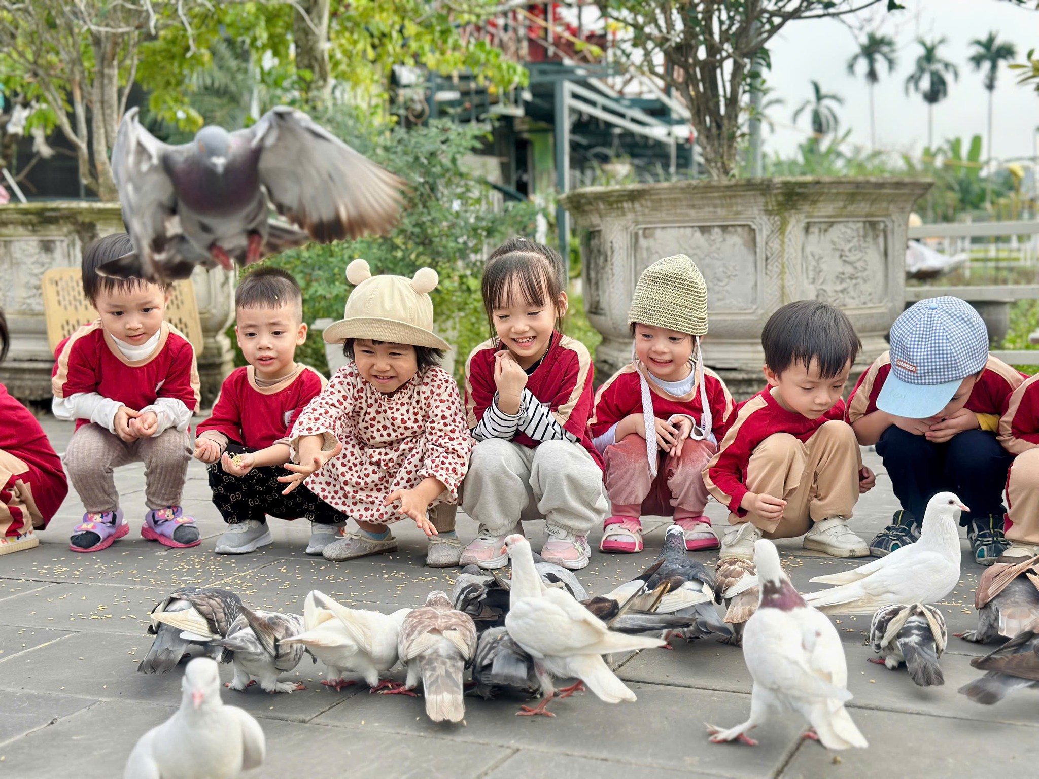 Khám phá LAM FARM – Học yêu thương và trách nhiệm